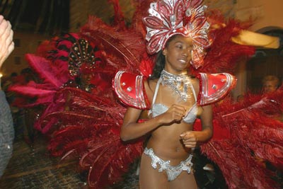 carnevale rio